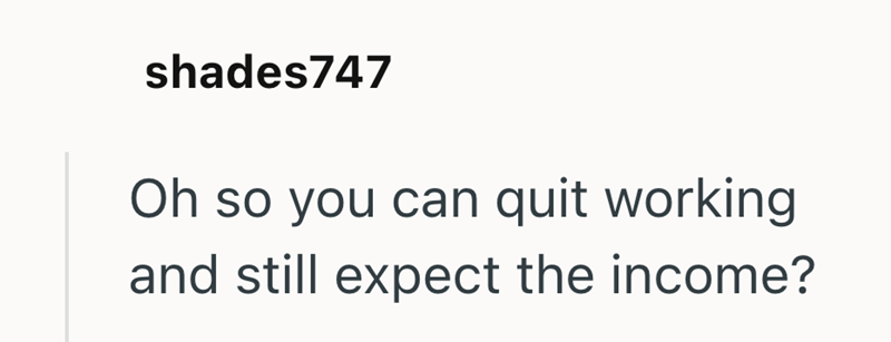 shades747 Oh so you can quit working and still expect the income?