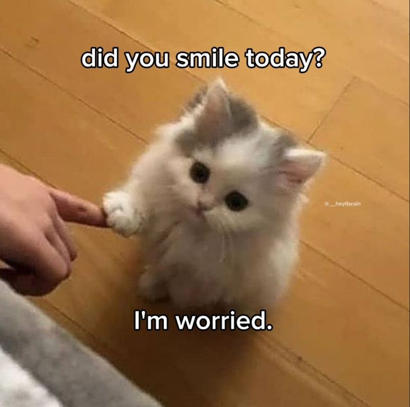 did you smile today? I'm worried. _heyitsrain