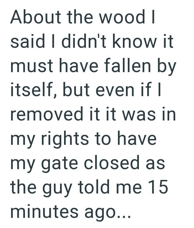 About the wood I said I didn't know it must have fallen by itself, but even if I removed it it was in my rights to have my gate closed as the guy told me 15 minutes ago...
