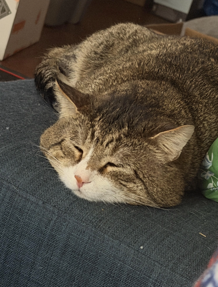 Cheezburger Image 10620513792