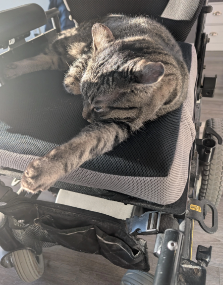 Cheezburger Image 10620518400