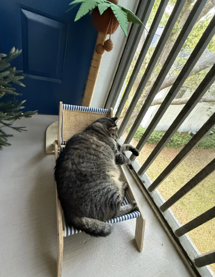 Cheezburger Image 10620519680