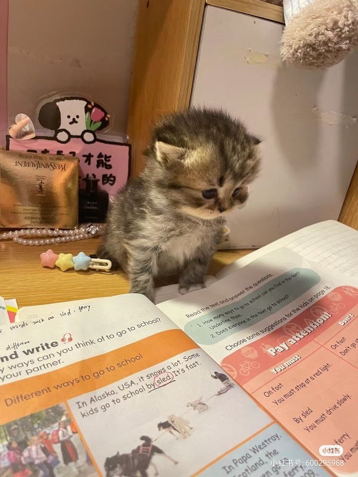 BOO W INERIAINS 才能 замов TRAVEL 59 GATE words such as sled. ferry differem nd write 2 y ways can you think of to go to school? your partner. Different ways to go to school In Alaska, USA, it snows a lot. Some kids go to school by sled. It's fast. Read the text and answer the questions How many ways to go to school can you find in the tem Underline them 2. Does everyone in the text go to school? Choose some suggestions for the kids on page 18. Pay attention! You must Don' On foot On foot You must