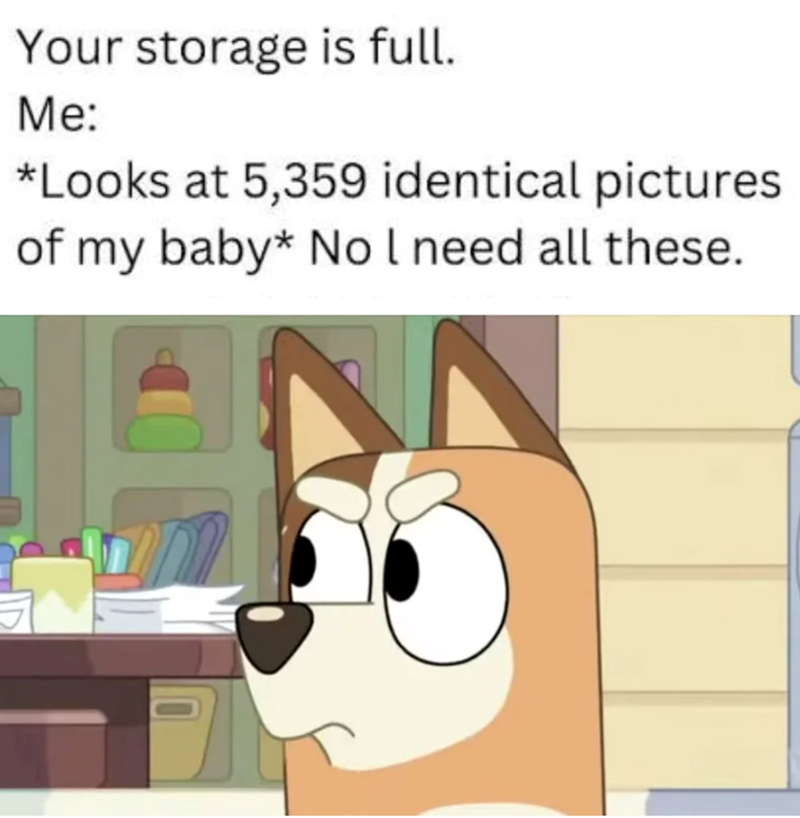 Your storage is full. Me: *Looks at 5,359 identical pictures of my baby* No I need all these.