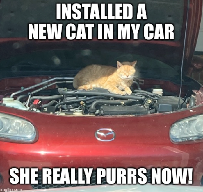 INSTALLED A NEW CAT IN MY CAR SHE REALLY PURRS NOW! imgflip.com