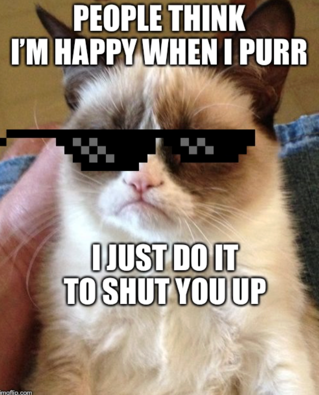 PEOPLE THINK I'M HAPPY WHEN I PURR imaflip.com I JUST DO IT TO SHUT YOU UP