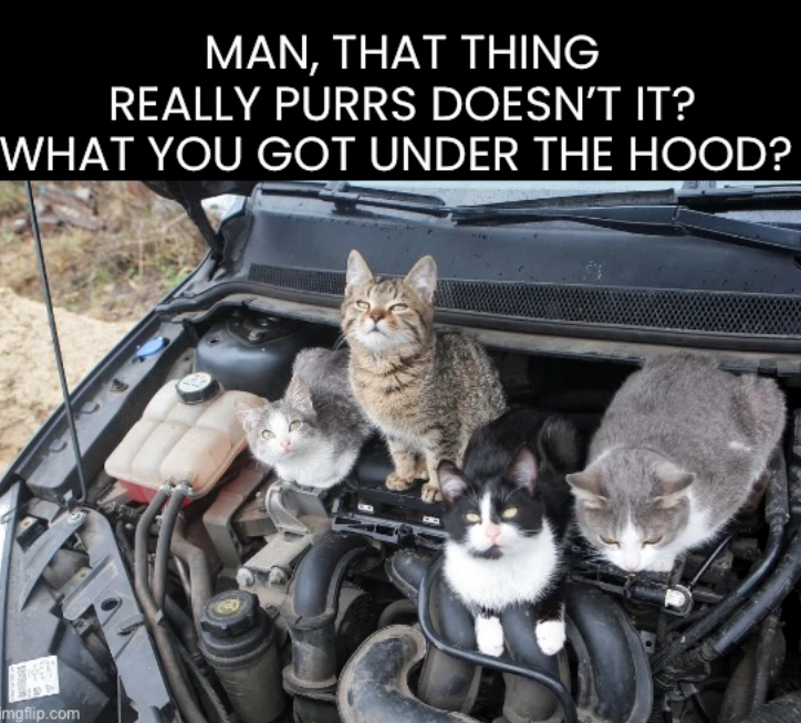 MAN, THAT THING REALLY PURRS DOESN'T IT? WHAT YOU GOT UNDER THE HOOD? imgflip.com