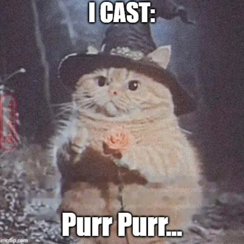 imgflip.com I CAST: Purr Purr...