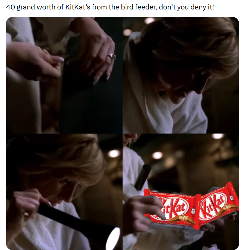 40 grand worth of KitKat's from the bird feeder, don't you deny it! Kat