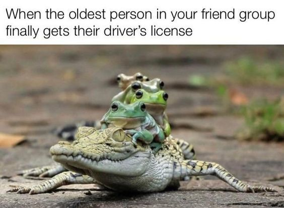 When the oldest person in your friend group finally gets their driver's license