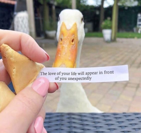 The love of your life will appear in front of you unexpectedly
