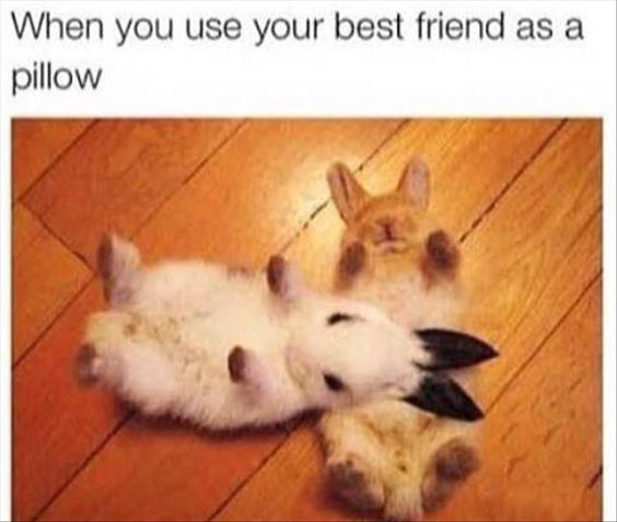 When you use your best friend as a pillow