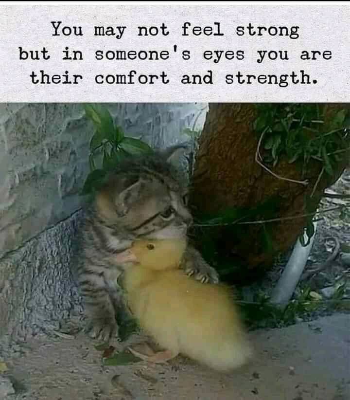You may not feel strong but in someone's eyes you are their comfort and strength.