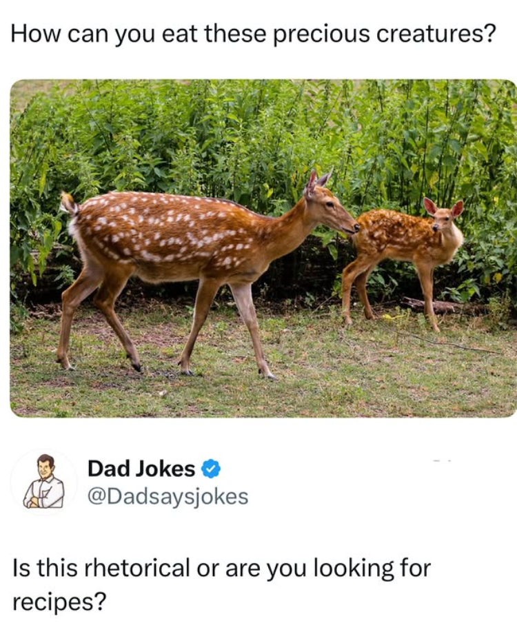 How can you eat these precious creatures? Dad Jokes @Dadsaysjokes Is this rhetorical or are you looking for recipes?