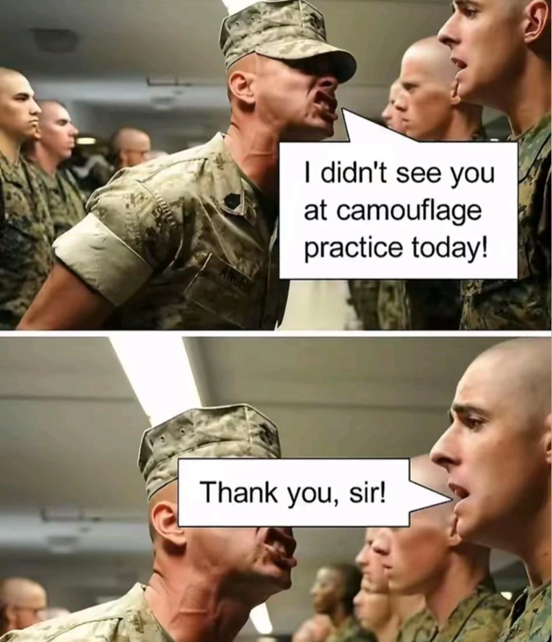 I didn't see you at camouflage practice today! Thank you, sir!