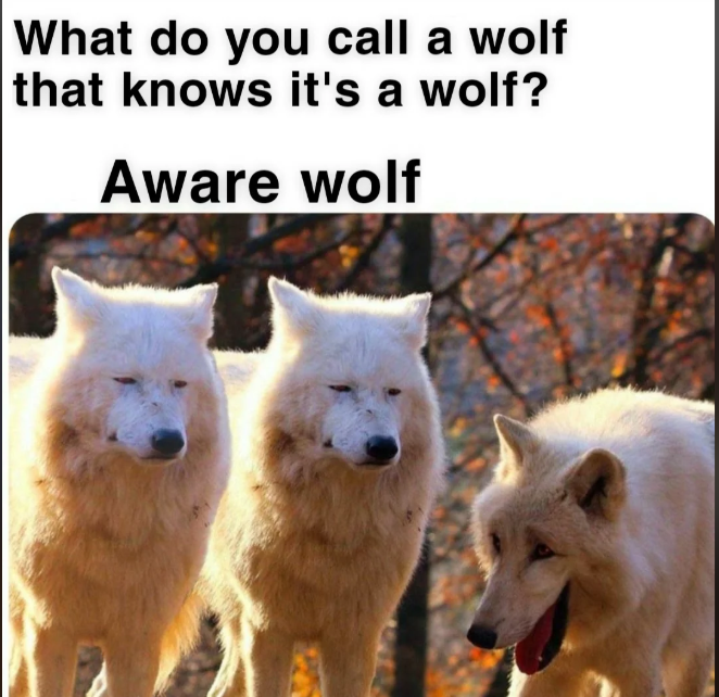 What do you call a wolf that knows it's a wolf? Aware wolf
