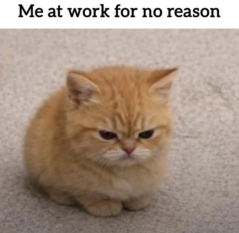 Me at work for no reason