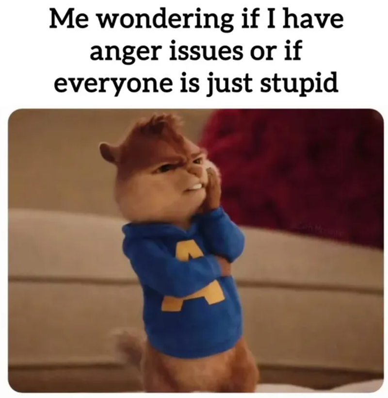 Me wondering if I have anger issues or if everyone is just stupid ach Monte