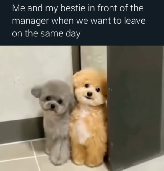 Me and my bestie in front of the manager when we want to leave on the same day