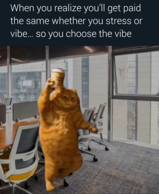 When you realize you'll get paid the same whether you stress or vibe... so you choose the vibe