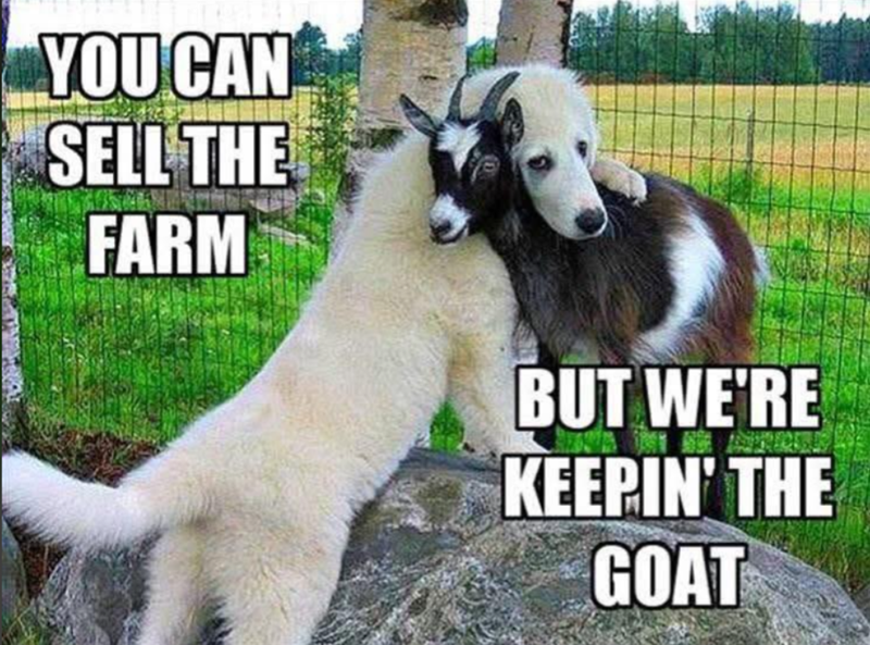 YOU CAN SELL THE FARM BUT WE'RE KEEPIN' THE GOAT
