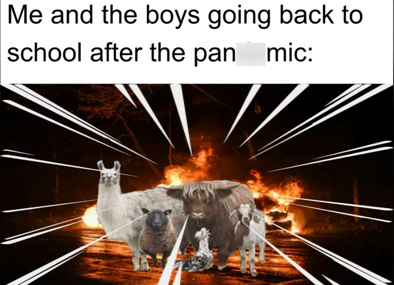 Me and the boys going back to school after the pan mic: