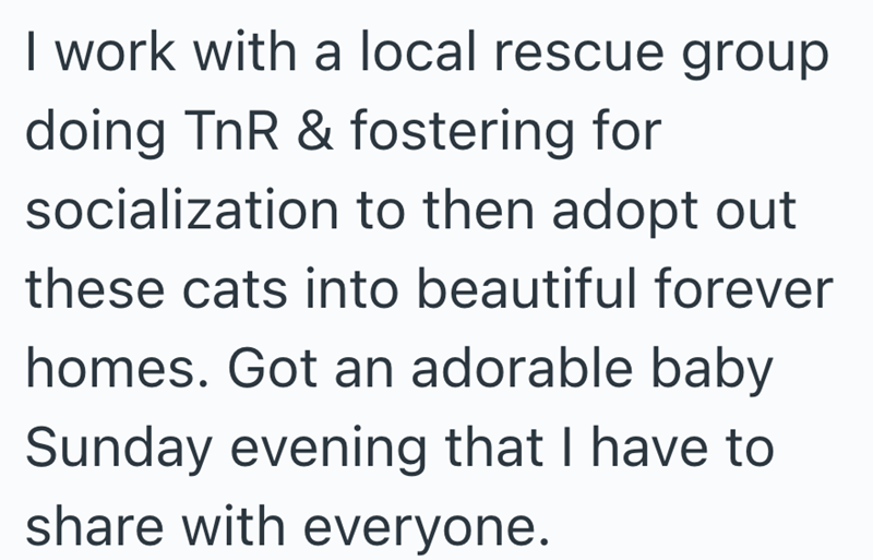 I work with a local rescue group doing TnR & fostering for socialization to then adopt out these cats into beautiful forever homes. Got an adorable baby Sunday evening that I have to share with everyone.