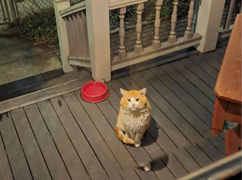 Cheezburger Image 10620590592