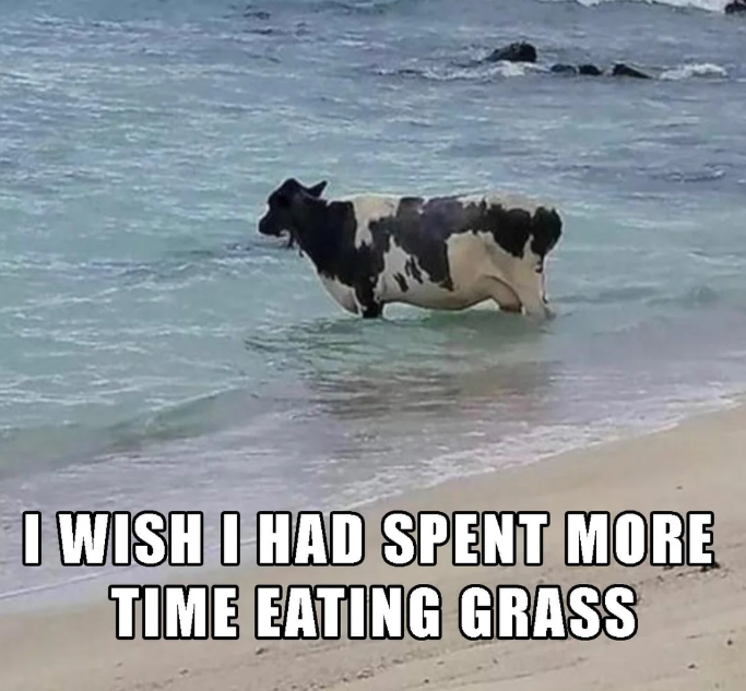 I WISH I HAD SPENT MORE TIME EATING GRASS