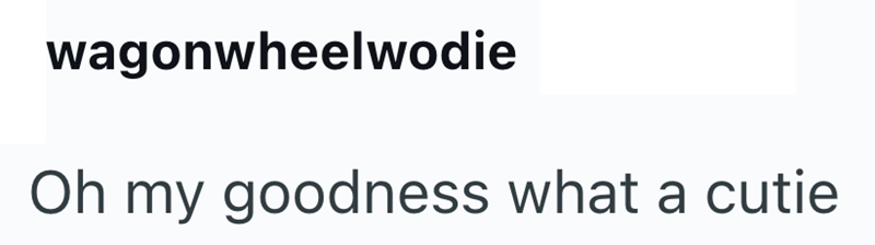 wagonwheelwodie Oh my goodness what a cutie