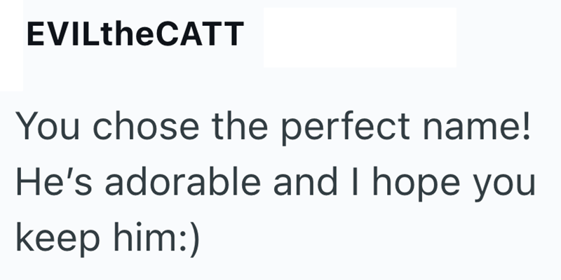 EVILtheCATT You chose the perfect name! He's adorable and I hope you keep him:)