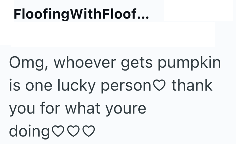 Floofing WithFloof... Omg, whoever gets pumpkin is one lucky person thank you for what youre doing♡♡♡