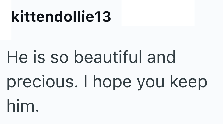 kittendollie13 He is so beautiful and precious. I hope you keep him.