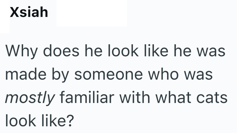 Xsiah Why does he look like he was made by someone who was mostly familiar with what cats look like?