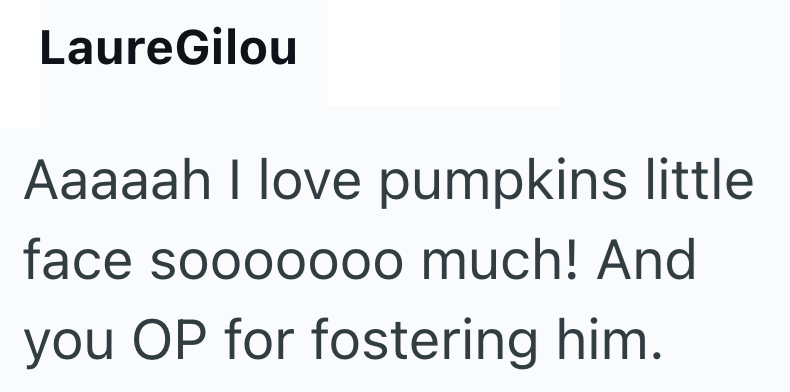 LaureGilou Aaaaah I love pumpkins little face sooooooo much! And you OP for fostering him.