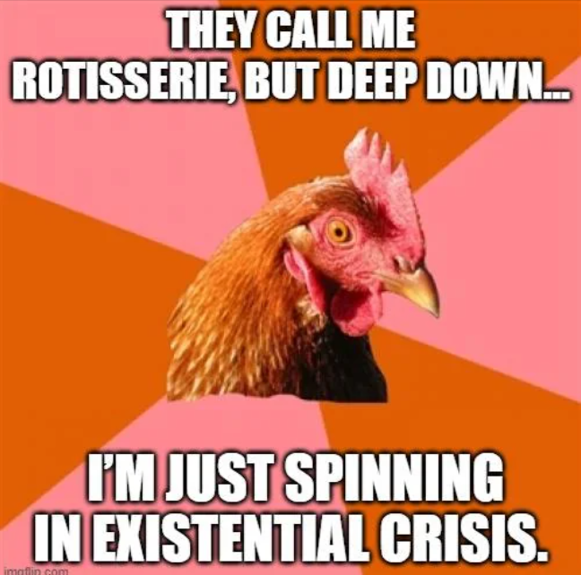 THEY CALL ME ROTISSERIE, BUT DEEP DOWN... I'M JUST SPINNING IN EXISTENTIAL CRISIS. imaflin.com