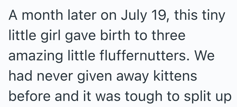A month later on July 19, this tiny little girl gave birth to three amazing little fluffernutters. We had never given away kittens before and it was tough to split up