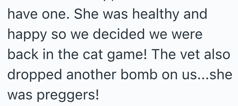 have one. She was healthy and happy so we decided we were back in the cat game! The vet also dropped another bomb on us...she was preggers!