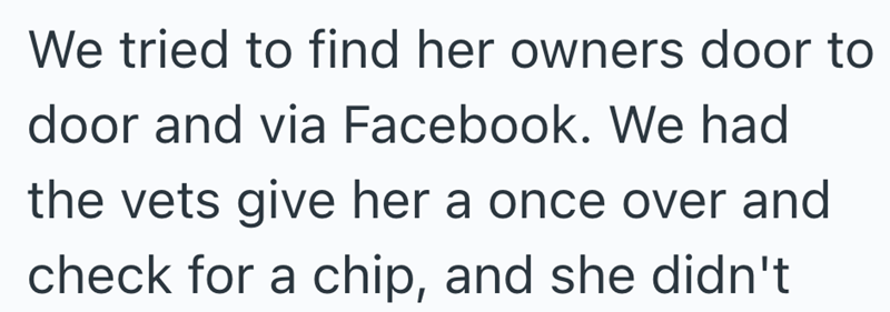 We tried to find her owners door to door and via Facebook. We had the vets give her a once over and check for a chip, and she didn't
