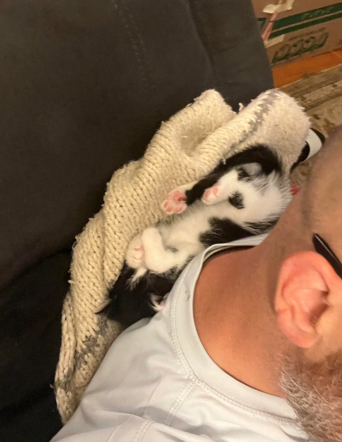 Cheezburger Image 10620601344