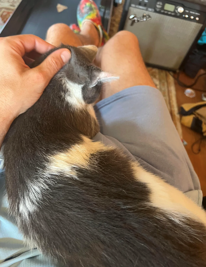 Cheezburger Image 10620603136