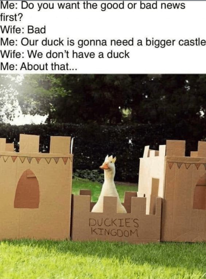 Me: Do you want the good or bad news first? Wife: Bad Me: Our duck is gonna need a bigger castle Wife: We don't have a duck Me: About that... DUCKIE'S KINGDOM
