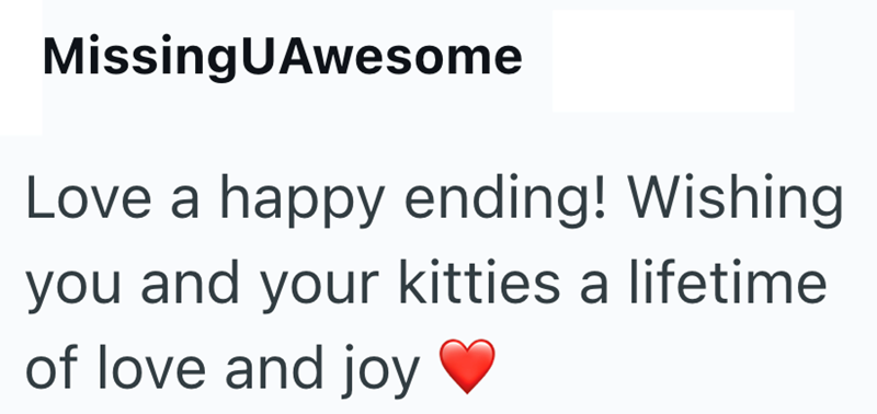 MissingUAwesome Love a happy ending! Wishing you and your kitties a lifetime of love and joy