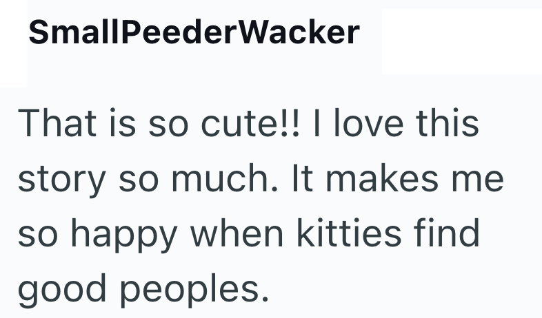 SmallPeederWacker That is so cute!! I love this story so much. It makes me so happy when kitties find good peoples.