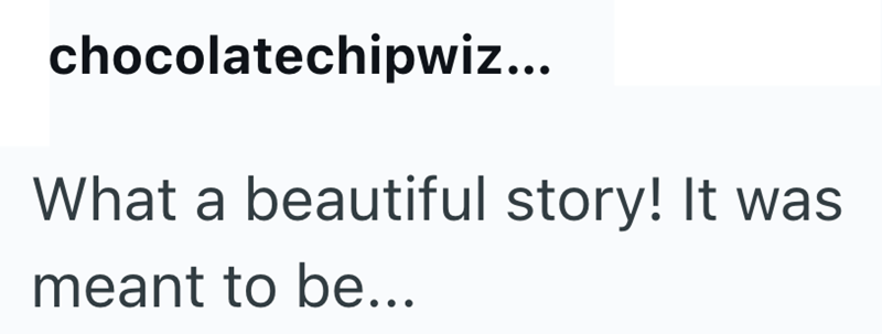 chocolatechipwiz... What a beautiful story! It was meant to be...