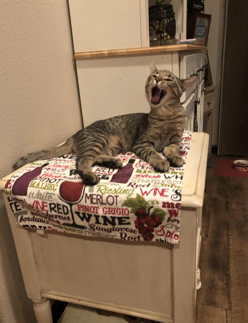 PERLOT Pinot MALBEC white ED IV MER Plush WH Chamragr Red Riesling WINES MERLOT TE NERED PINOT GRIGIO me W bernet WINE bordeaux Sangiovese Redk bor Spic chi