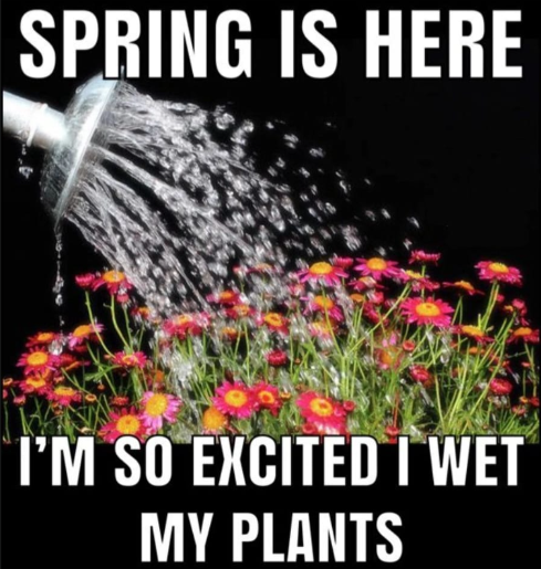 SPRING IS HERE I'M SO EXCITED I WET MY PLANTS