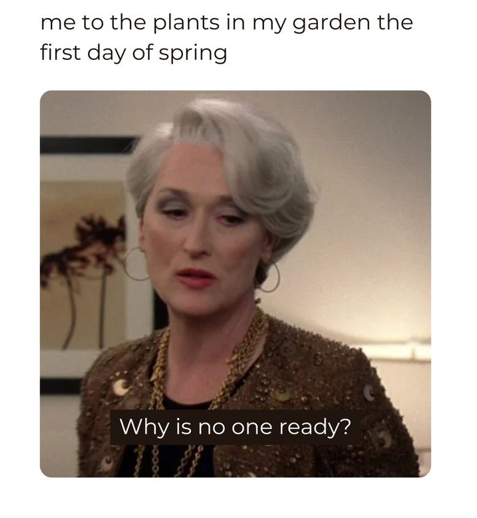 me to the plants in my garden the first day of spring Why is no one ready?