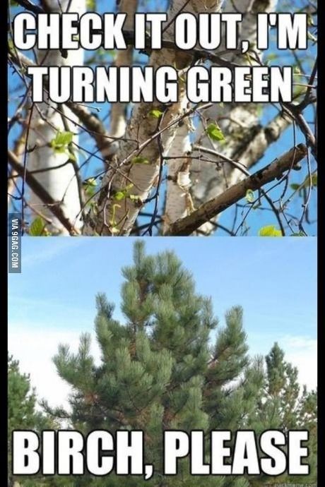 CHECK IT OUT, I'M TURNING GREEN VIA 9GAG.COM BIRCH, PLEASE
