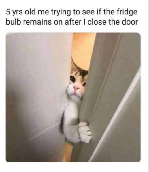 5 yrs old me trying to see if the fridge bulb remains on after I close the door